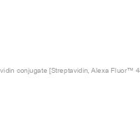 AF488-streptavidin conjugate [Streptavidin, Alexa Fluor™ 488 Conjugate]